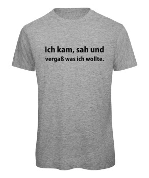 Ich kam sah und vergaß was ich wollte T-Shirt Grau Meliert